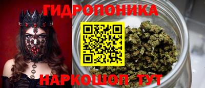 стафф Будённовск