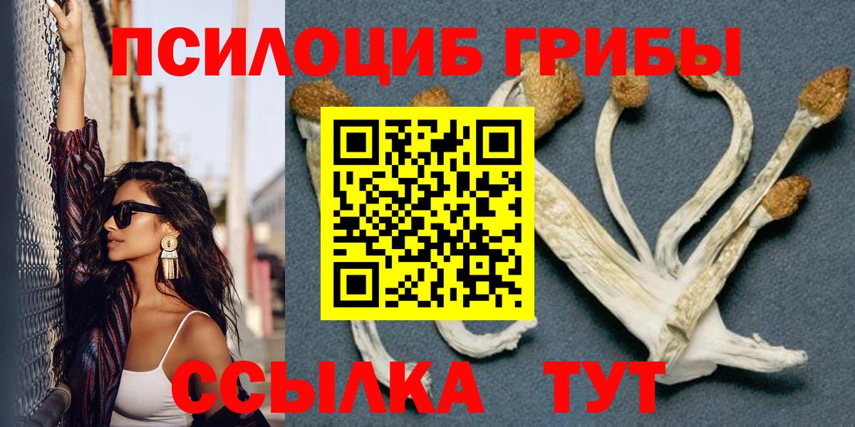 Галлюциногенные грибы прущие грибы Светлоград