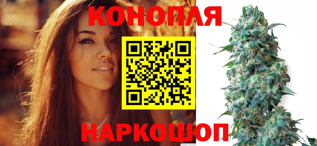 Бошки Шишки гибрид  Канабис White Widow  Марихуана план  Вход с VPN  Светлоград 
